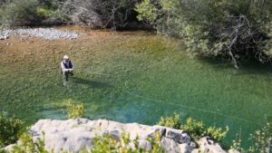 a client on a guided fishing trip with Wild Water Fly Fishing, casting in a wild stream